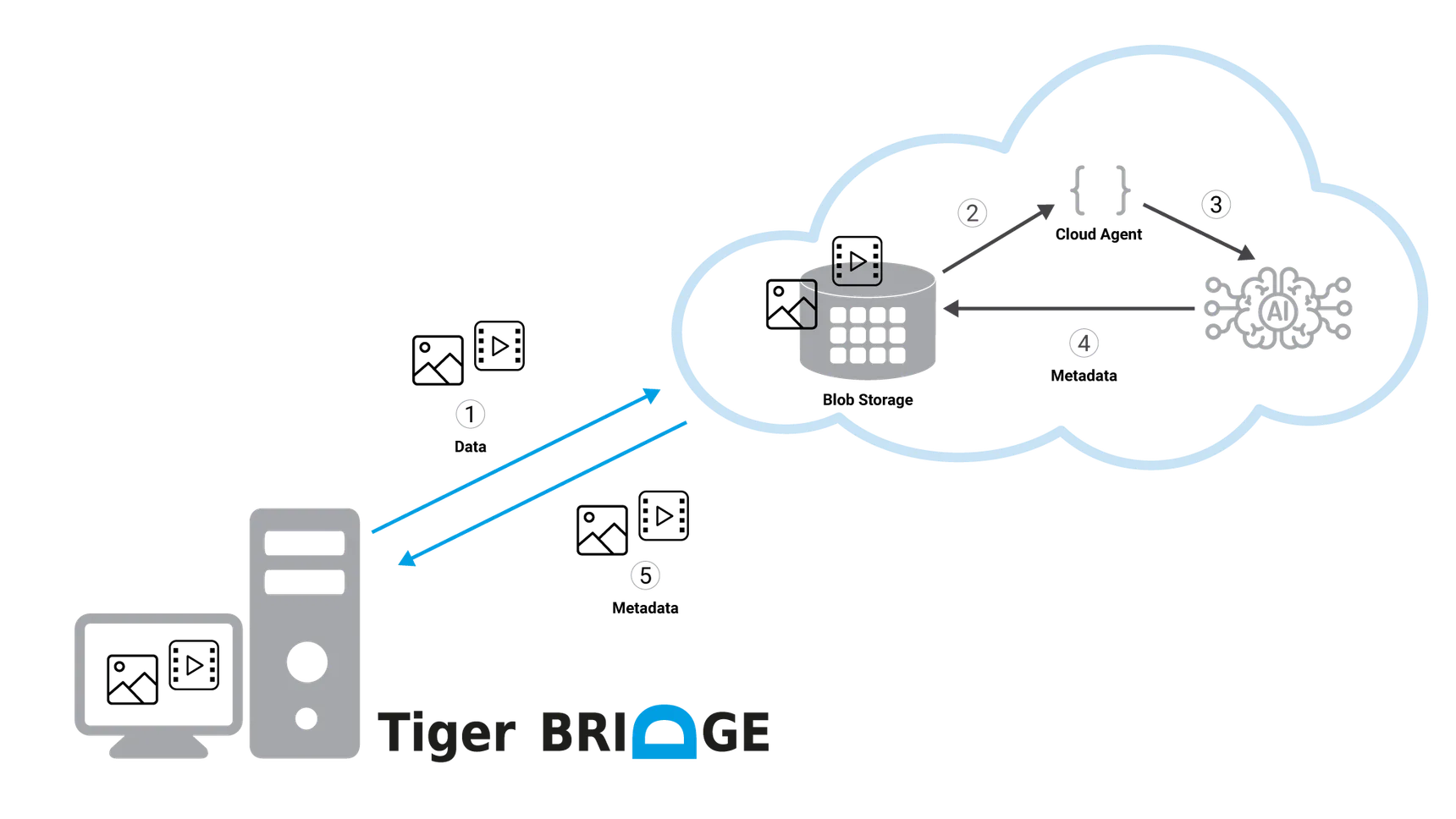 Connecting to Cloud AI Service